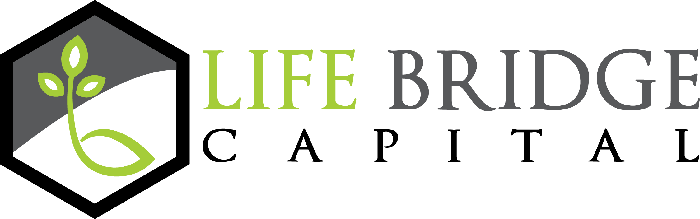 Life-Bridge-Capital