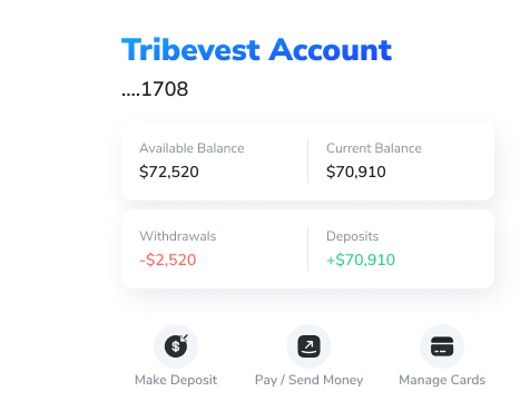 Tribevest Banking Everything You Need-1
